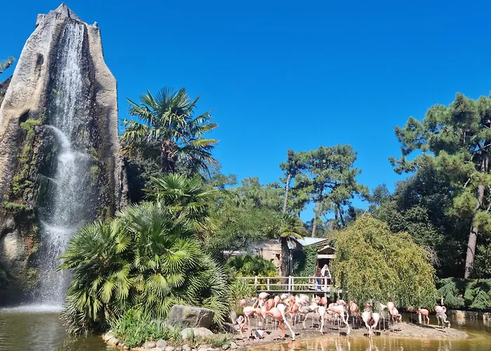 Charmante Maison Au Calme Casa de Férias